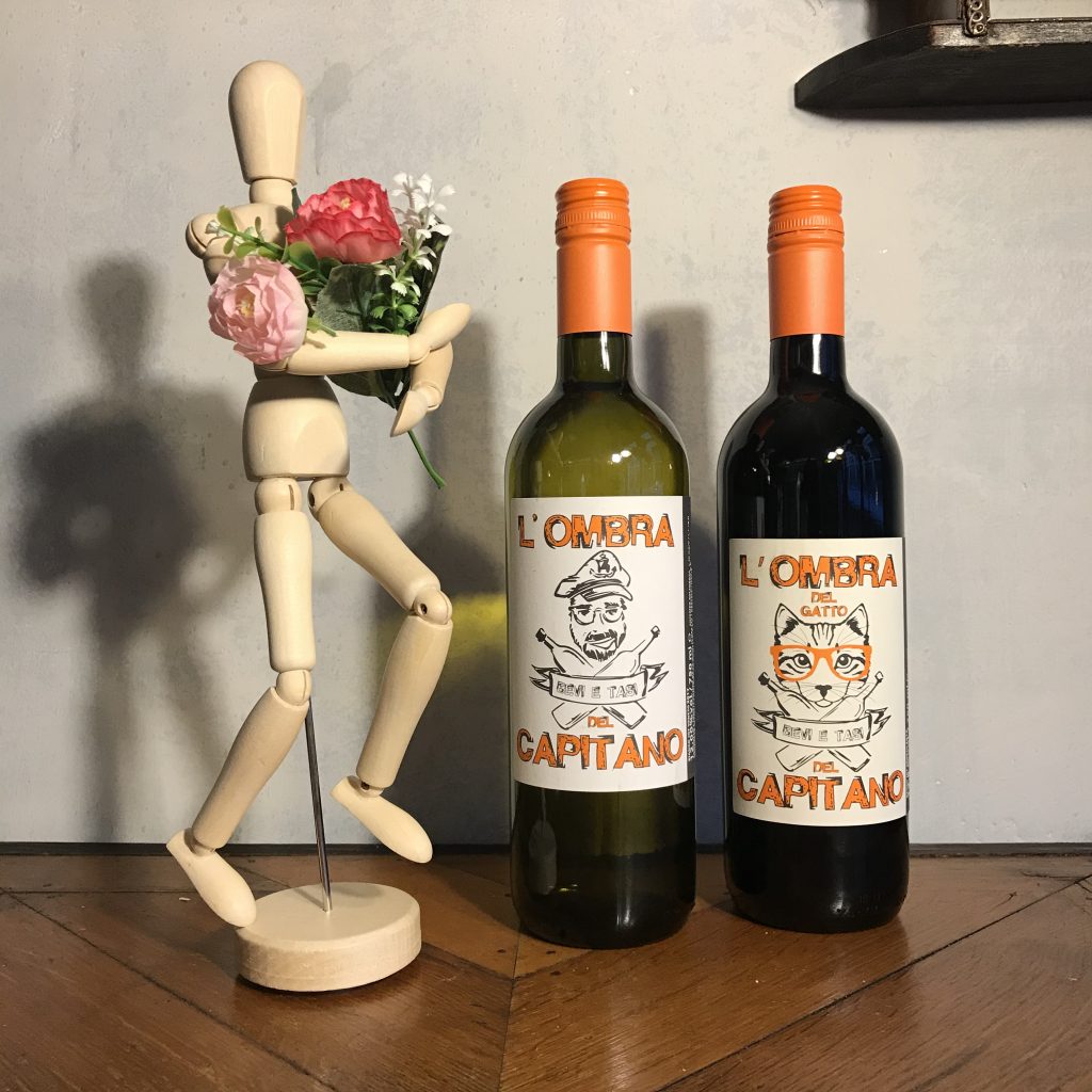 camera a sud e via con me bologna