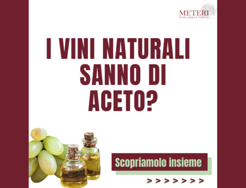 I Vini Naturali Sanno di Aceto?