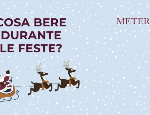 I Vini Naturali Meteri da bere nelle Feste