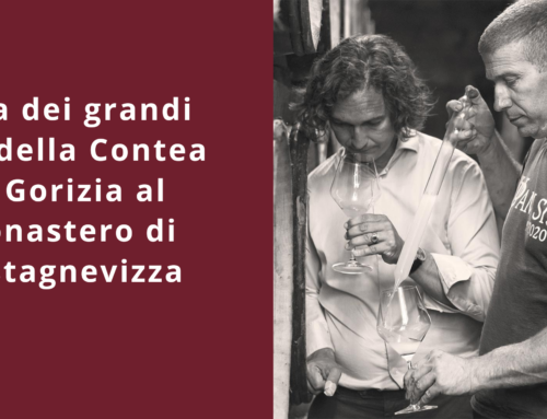 Domaine De Noüe-Marinic: l’asta dei grandi vini della Contea di Gorizia al monastero di Castagnevizza