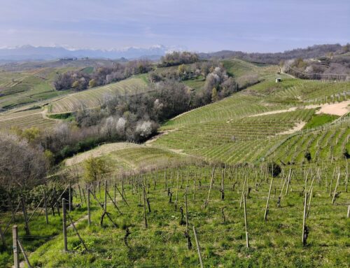 Ghemme – Dove il Nebbiolo cambia voce